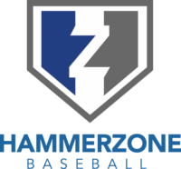 HammerZone Baseball logo in blue